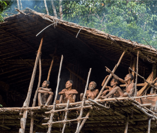 Rumah Pohon