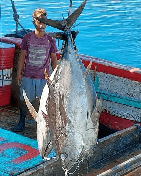 Kekayaan Laut Pasifik Papua