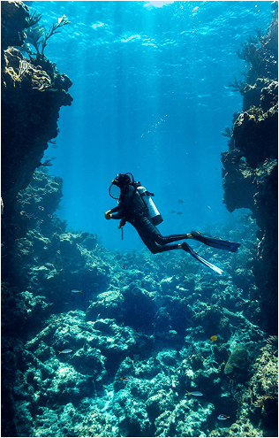 DIVING
