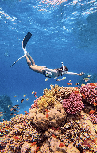 SNORKELING